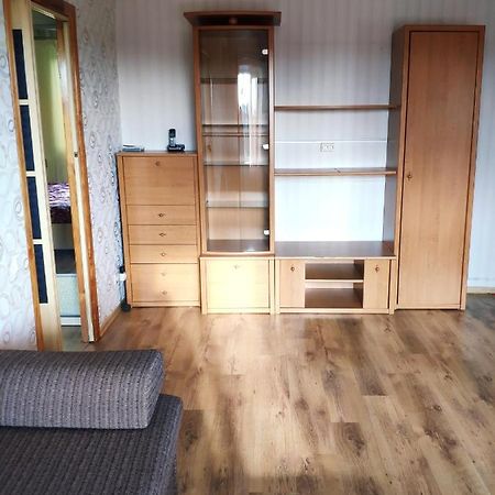 Cozy One Bedroom Apartment Kiev Dış mekan fotoğraf
