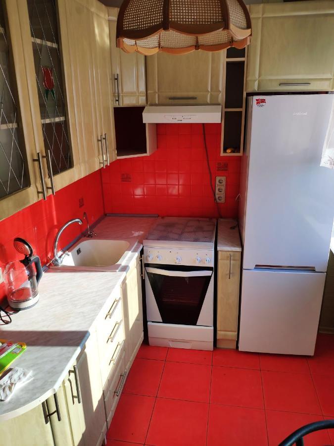 Cozy One Bedroom Apartment Kiev Dış mekan fotoğraf