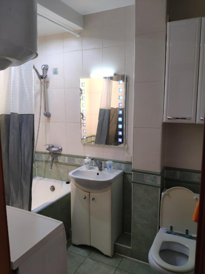 Cozy One Bedroom Apartment Kiev Dış mekan fotoğraf